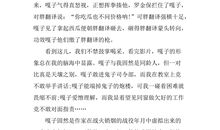 小兵张嘎读后感500字