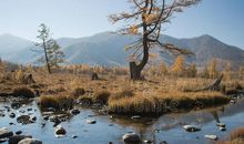 秋天的小河作文