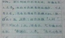 写人的作文450字