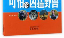 可怕的对称读后感言