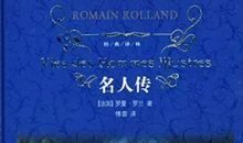 名人传米开朗琪罗传读后感