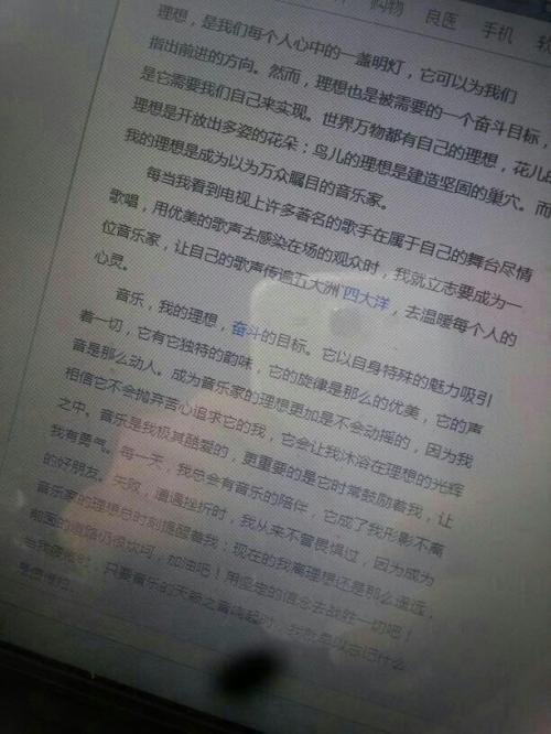 我理想的构图画家500字