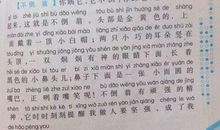 我最喜欢的石头作文