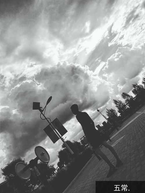 经典句:没有生命的理由,情绪会使这辈子累