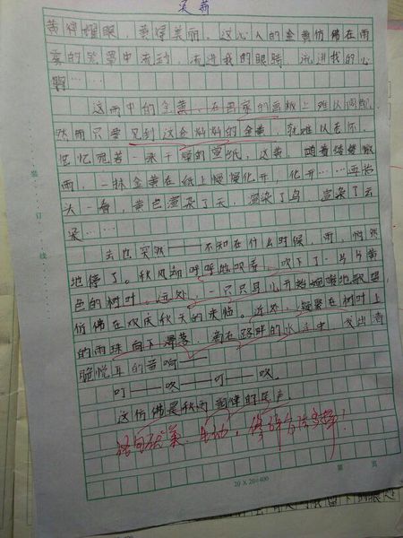 我爱农村的秋天作文