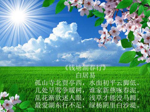 钱塘湖春季游组成