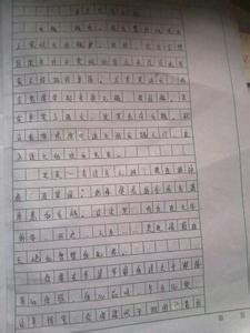 我的偶像600字