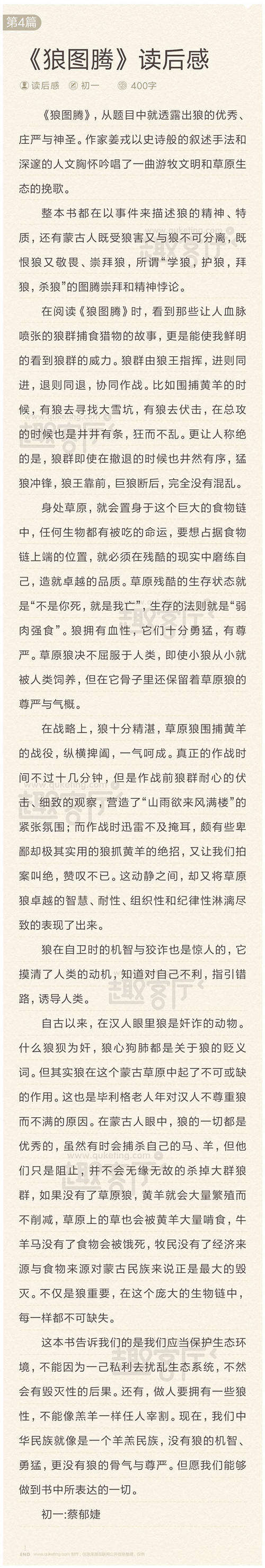 看完没尾巴的狼