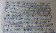 我心目中的中学作文