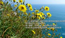 优美励志的句子，励志哲理的句子