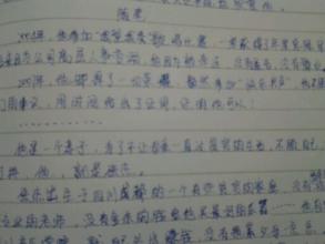 我的偶像作文700字