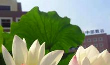 抵达人生前路的一袭芬芳