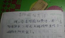 小学生暑假日记100字