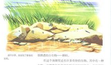 昆虫记之蟋蟀读后感