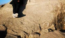 三分之一的人生