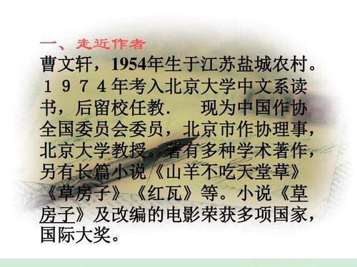 读完100个单词后的寂寞旅程