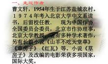 孤独之旅读后感100字