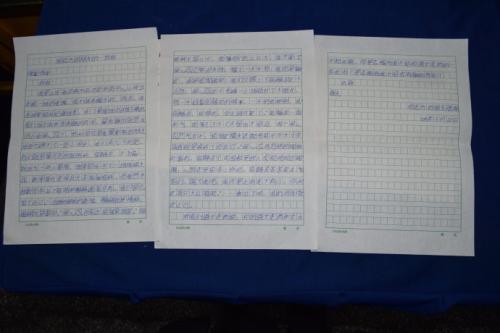 关于手拉手组成