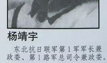 抗日英雄杨靖宇读后感