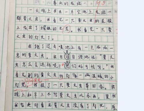 我的发现的组成