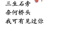 fresh果果经典语录语句