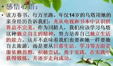 乌塔读后感作文