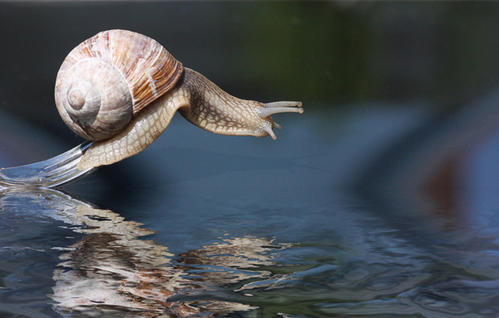青年是一个有动力的春天的梦想