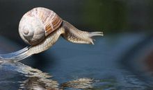 青春就是一场上进的春梦