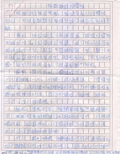 我的发现论文400字