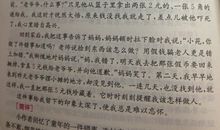 仿生学的作文500字