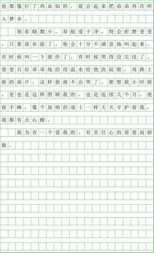 Rain的自我报告作文300字