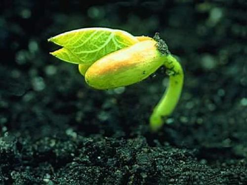 阅读后,蒙田涅(Montaigne)热爱生活