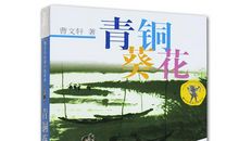 青铜葵花第二章读后感