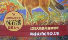 《红豺》读后感