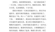 聪明的小狗作文