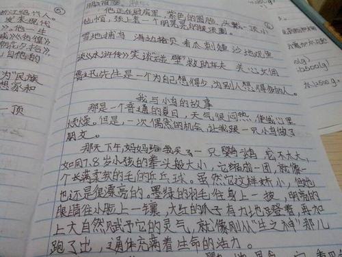 我的同班同学四年级作文