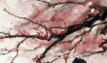 残月也美丽作文