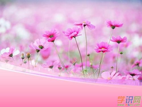 我和春天有个约会