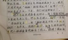 我的朋友初中作文500字