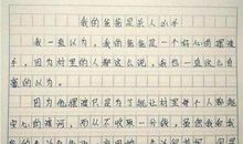 我的爸爸一年级作文