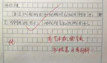 灿烂的日子作文