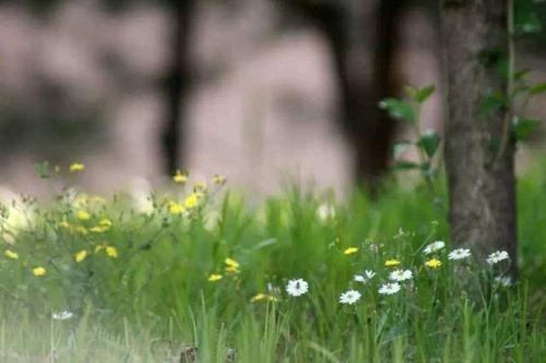 保持安静，看不起浮华