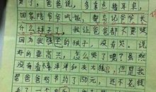 藏在心底的秘密作文