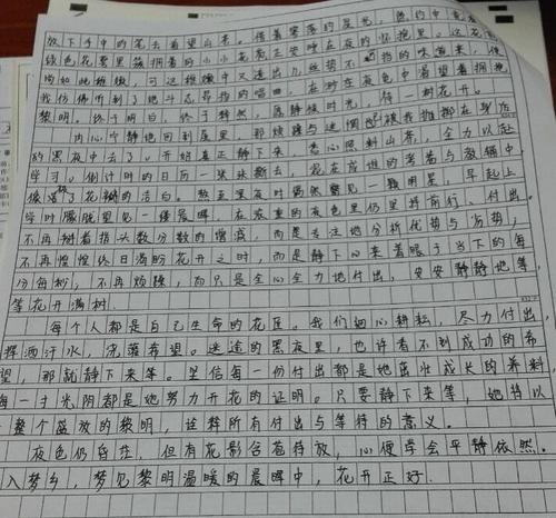 你改变了我的构图