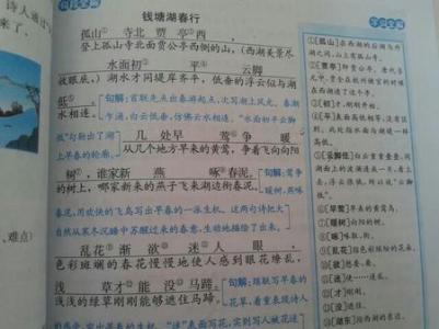 田静秋求改革写作