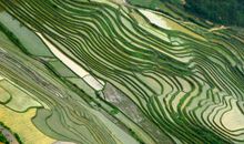 绿野寻踪读后感