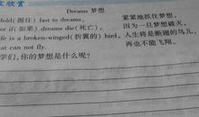 理想与现实作文