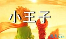 冒险小王子读后感