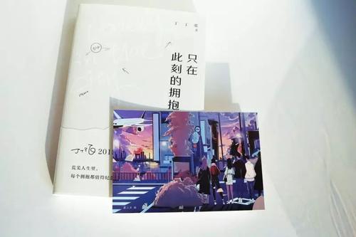 丁丁章的经典语录