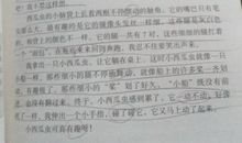 植物观察日记300字大全